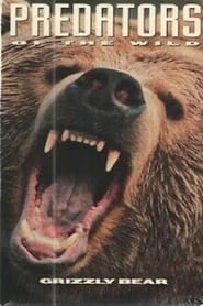 Poster Predators of the Wild: Grizzly Bear