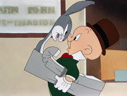 Elmer's Pet Rabbit