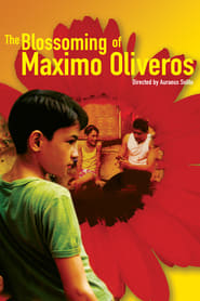 Poster for The Blossoming of Maximo Oliveros