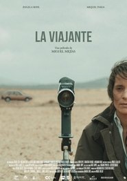 Poster The wanderer 2021