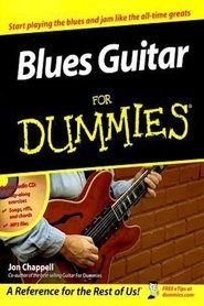 Poster Blues Guitar for Dummies 1970 Poster Blues Guitar for Dummies 1970