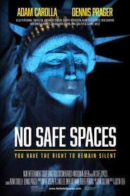 Poster for No Safe Spaces