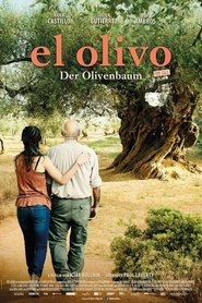 El Olivo - Der Olivenbaum 2016 Auf Italienisch & Spanisch