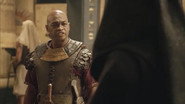 Episode 207
