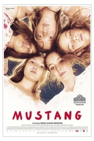 Mustang poster