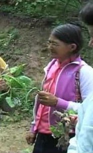 Farmácia Verde do Sertão