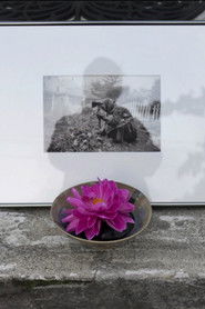 Poster Prysia’s Garden 2015