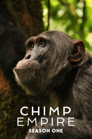 Chimp Empire Limited Series 6