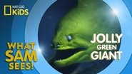 Jolly Green Giant