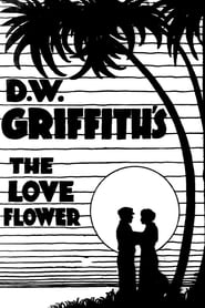 The Love Flower
