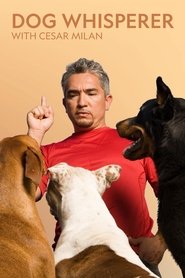 Dog Whisperer serie en streaming 