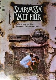 Poster Sons of Fire 1973