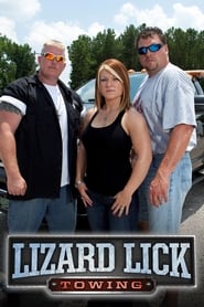 Lizard Lick Towing