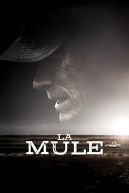 Voir La Mule en streaming vf gratuit sur streamizseries.net site special Films streaming