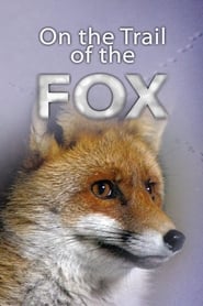 On The Trail Of The Fox