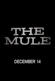 The Mule