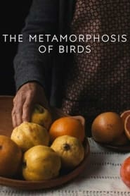The Metamorphosis of Birds постер