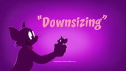 Downsizing