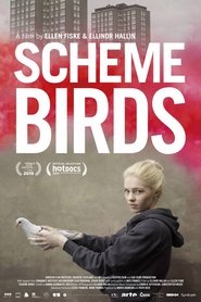 Scheme Birds