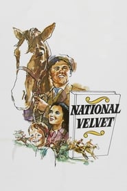 National Velvet постер