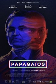 Papagaios 2025 Бесплатан неограничен приступ