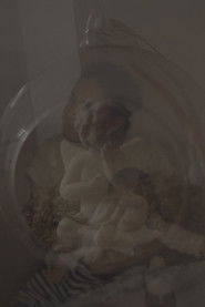 Neither Here Nor There 2020