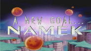 A New Goal... Namek