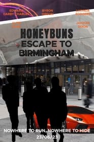 Honeybuns 3: Escape to Birmingham