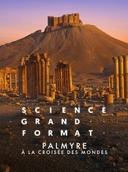 Palmyre, à la croisée des mondes 2024 ମାଗଣା ଅସୀମିତ ପ୍ରବେଶ |