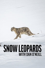 Snow Leopards with Dan O'Neill (2025)