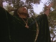 The Sorceress