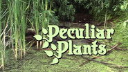 Peculiar Plants