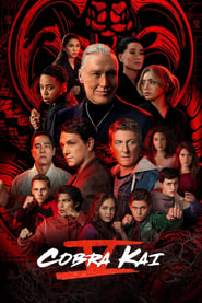 Poster Cobra Kai - Season 5 Episode 6 : Ouroboros 2022