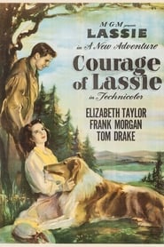 Poster van Courage of Lassie