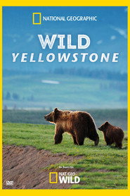 Wild Yellowstone постер