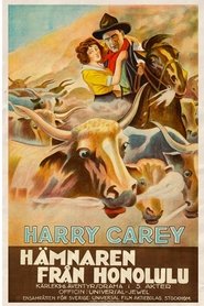 The Outlaw and the Lady (1917)