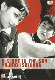 A Slope in the Sun постер