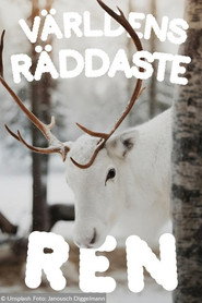 Världens räddaste ren