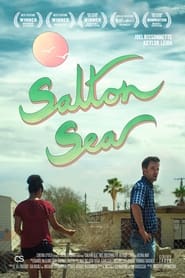 Salton Sea постер