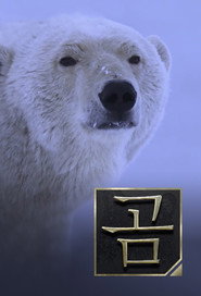 Bears poster