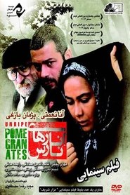 Unripe Pomegranates Poster