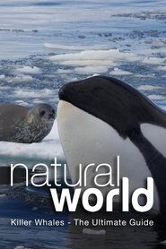 Killer Whales - The Ultimate Guide 2013 Phihlelo ea mahala ea mahala