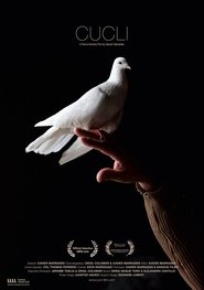 Poster Cucli 2016