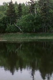 La voix des rivières