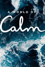 A World of Calm (2020)
