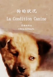 The Condition of Dogs The Condition of Dogs