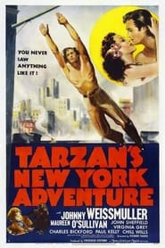 Tarzan's New York Adventure постер