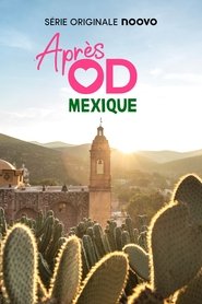 Poster for Après OD - Mexique