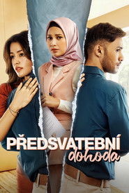 Předsvatebn&iacute; dohoda