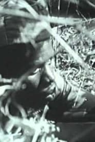 Anos de Guerra - Guiné 1963-1974 movie